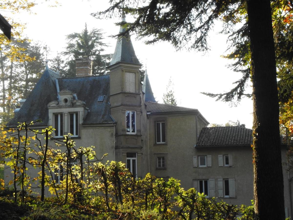 Chateau De Bonnevaux Villeneuve-de-Marc Екстер'єр фото